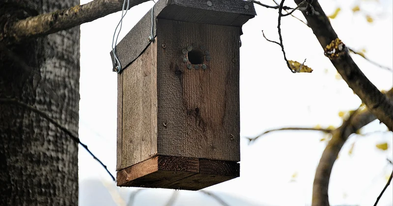 Construire un abri en bois : ce que dit la loi (et ce que ça change sur le terrain)
