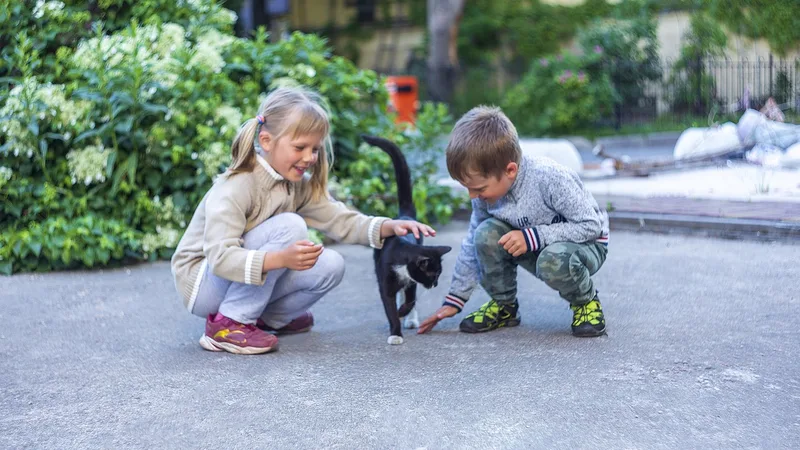 Aventures en famille